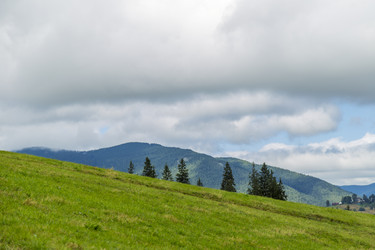 Similar image 6466304