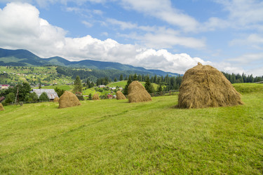 Similar image 6466308