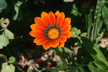 Similar image 6466332