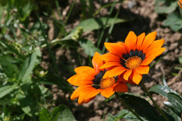 Similar image 6466333