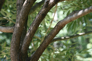 Similar image 6466334