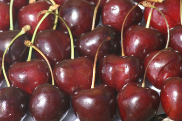 Similar image 6466336