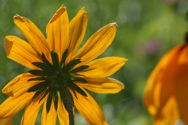 Similar image 6466337