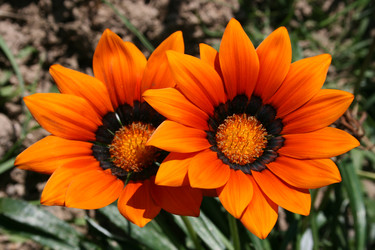 Similar image 6466338