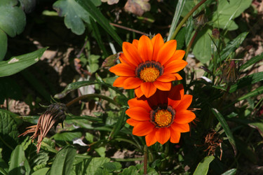 Similar image 6466355