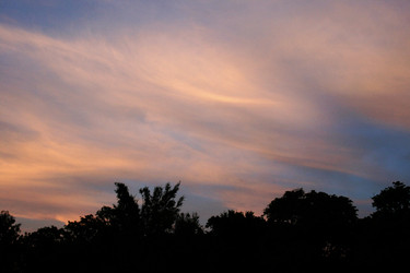 Similar image 6466358