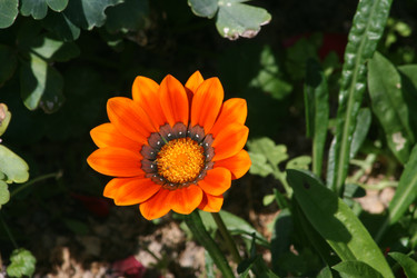 Similar image 6466359