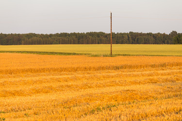 Similar image 6466466