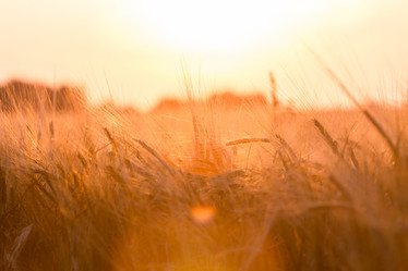 Similar image 6466468