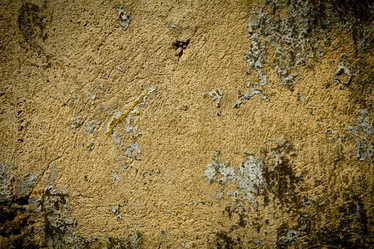 Similar image 6466475