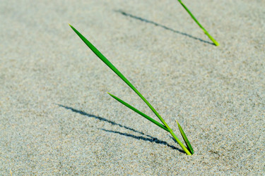 Similar image 6466493