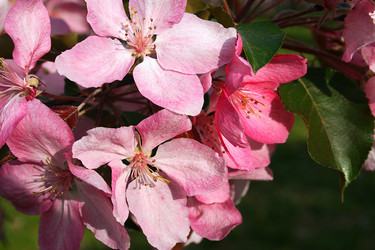 Similar image 6466499