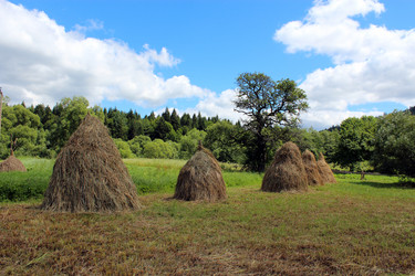 Similar image 6466524