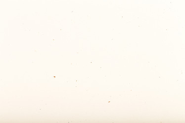 Similar image 6466608