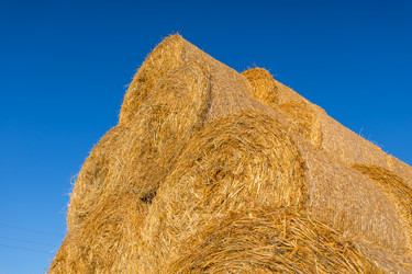 Similar image 6466639