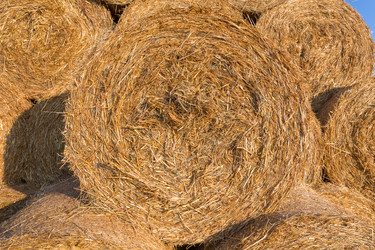 Similar image 6466640