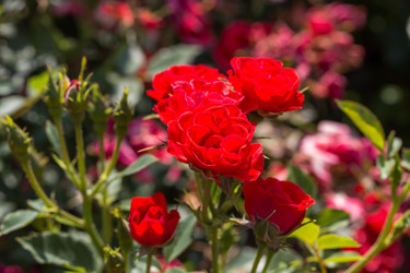 Similar image 6466641