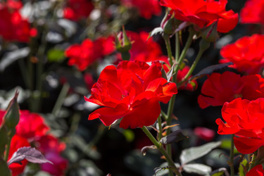 Similar image 6466643