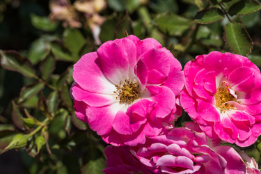 Similar image 6466649