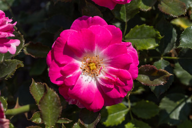 Similar image 6466650