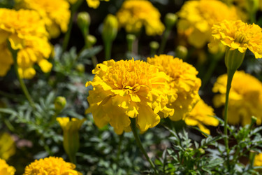 Similar image 6466656