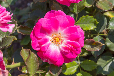 Similar image 6466666