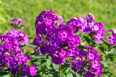 Similar image 6466668