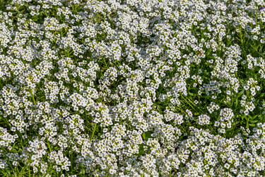 Similar image 6466671