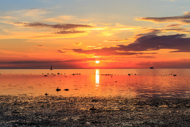 Similar image 6466672