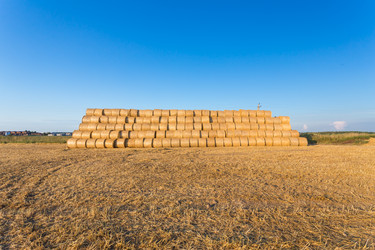 Similar image 6466674