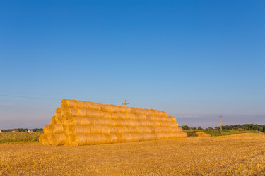 Similar image 6466675