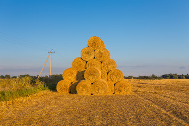 Similar image 6466676