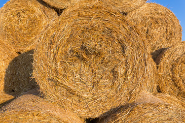 Similar image 6466677