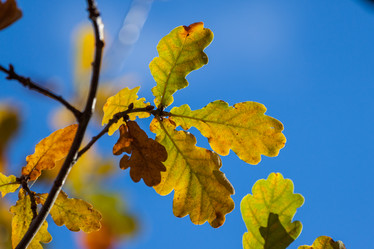 Similar image 6466701