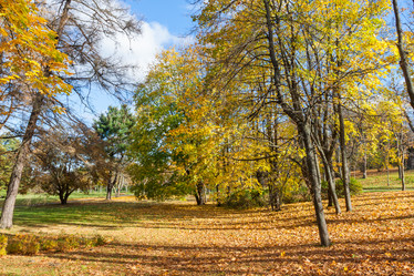 Similar image 6466704