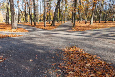 Similar image 6466706