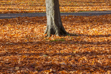 Similar image 6466708