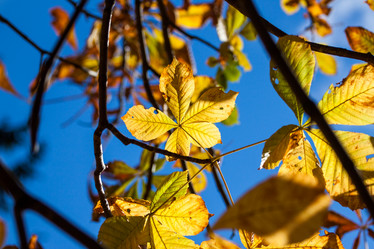 Similar image 6466709