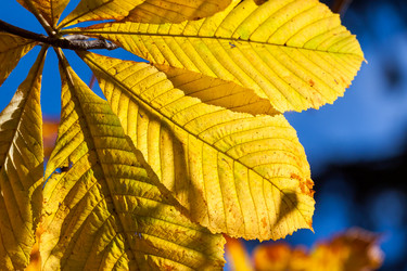 Similar image 6466710