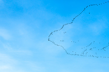 Similar image 6466713