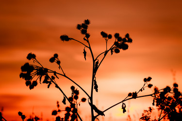 Similar image 6466714