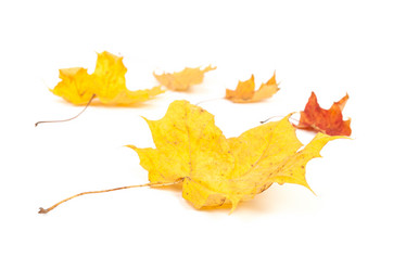 Similar image 6466716