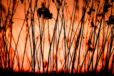 Similar image 6466717