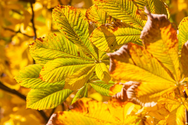 Similar image 6466718