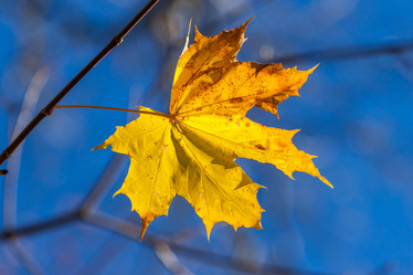 Similar image 6466719