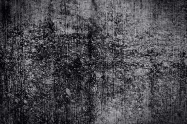 Similar image 6466731