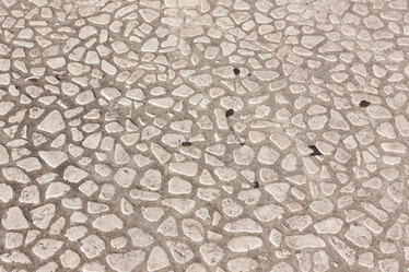 Similar image 6466737