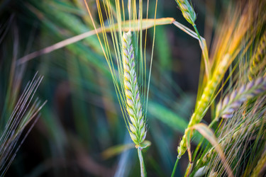 Similar image 6466742