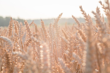 Similar image 6466745