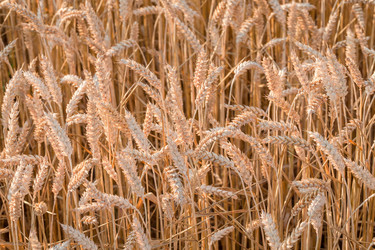 Similar image 6466746